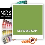 NCS S2060-G30Y