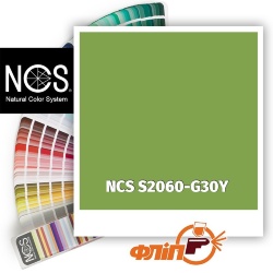 NCS S2060-G30Y фото