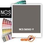 NCS S6502-Y