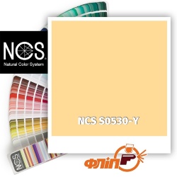 NCS S0530-Y фото