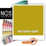 NCS S2070-G60Y