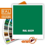 RAL 6029