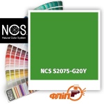 NCS S2075-G20Y