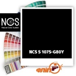 NCS S 107S-G80Y