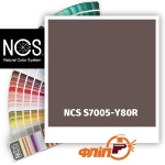 NCS S7005-Y80R