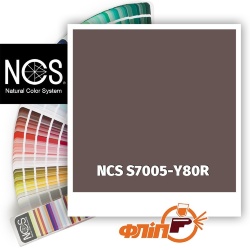 NCS S7005-Y80R фото