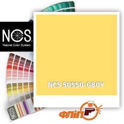 NCS S0550-G80Y фото