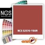 NCS S2570-Y80R