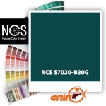 NCS S7020-B30G