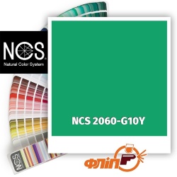 NCS 2060-G10Y фото