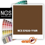 NCS S7020-Y10R