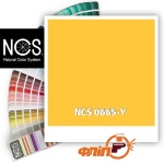 NCS 0665-Y