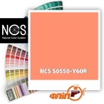 NCS S0550-Y60R
