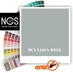 NCS S3005-B80G фото