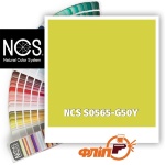 NCS S0565-G50Y