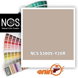 NCS S3005-Y20R фото