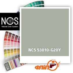 NCS S3010-G20Y фото
