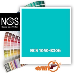 NCS 1050-B30G фото