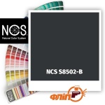NCS S8502-B