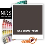 NCS S8505-Y80R