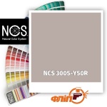 NCS 3005-Y50R