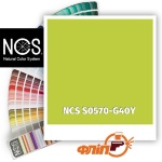 NCS S0570-G40Y