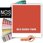 NCS S0585-Y80R