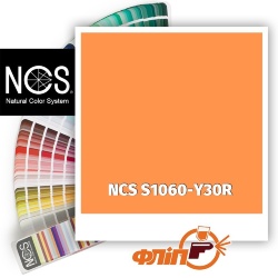 NCS S1060-Y30R фото