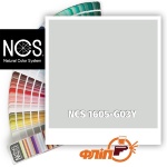 NCS 1605-G03Y