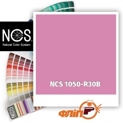 NCS 1050-R30B фото