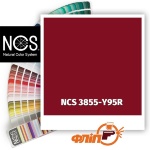 NCS 3855-Y95R