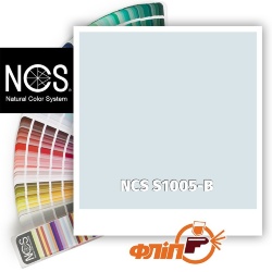 NCS S1005-B фото