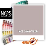 NCS 3005-Y80R