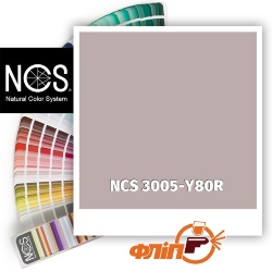 NCS 3005-Y80R фото