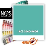 NCS 2040-B60G