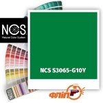 NCS S3065-G10Y