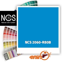 NCS 2060-R80B фото